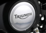 Triumph America